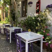 Genel Görünüm Galerisi