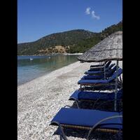 Havuz & Plaj Galerisi