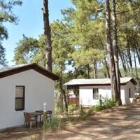 Genel Görünüm Galerisi