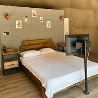 Oda Özellikleri Galerisi