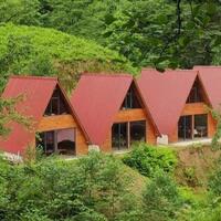 Genel Görünüm Galerisi