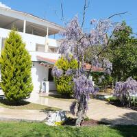 Genel Görünüm Galerisi