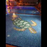 Havuz & Plaj Galerisi