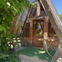 Genel Görünüm Galerisi