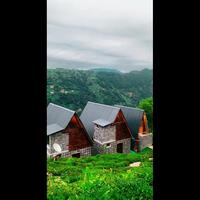 Genel Görünüm Galerisi