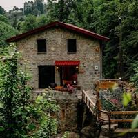 Genel Görünüm Galerisi