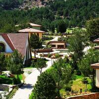 Genel Görünüm Galerisi