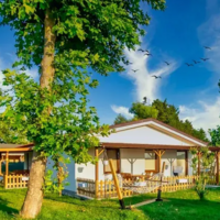 Genel Görünüm Galerisi