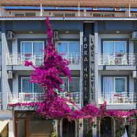 Genel Görünüm Galerisi