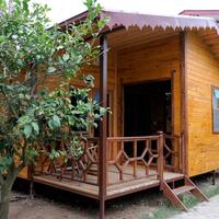 Genel Görünüm Galerisi