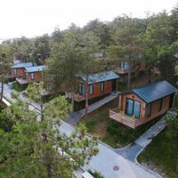 Genel Görünüm Galerisi