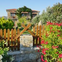 Genel Görünüm Galerisi