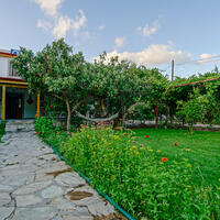 Genel Görünüm Galerisi