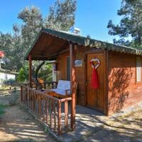 Genel Görünüm Galerisi