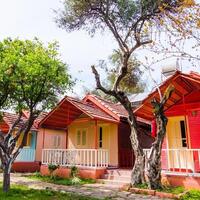 Genel Görünüm Galerisi