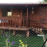 Genel Görünüm Galerisi