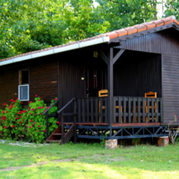 Genel Görünüm Galerisi