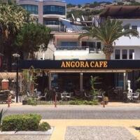 Genel Görünüm Galerisi