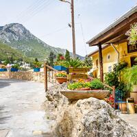 Genel Görünüm Galerisi