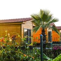 Genel Görünüm Galerisi