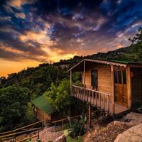 Genel Görünüm Galerisi