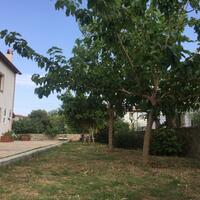 Bahçe & Oturma Alanları Galerisi