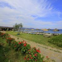 Havuz & Plaj Galerisi