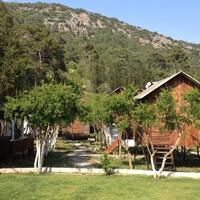 Genel Görünüm Galerisi