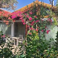 Genel Görünüm Galerisi