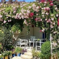 Genel Görünüm Galerisi