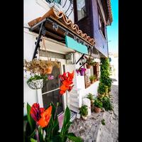 Genel Görünüm Galerisi