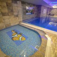 Havuz & Plaj Galerisi