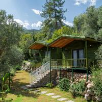 Genel Görünüm Galerisi