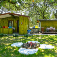 Genel Görünüm Galerisi