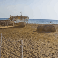 Havuz & Plaj Galerisi