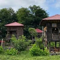 Genel Görünüm Galerisi