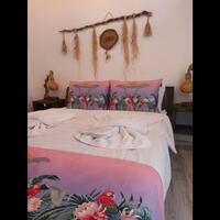 Oda Özellikleri Galerisi