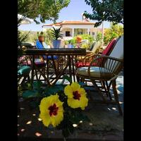 Bahçe & Oturma Alanları Galerisi