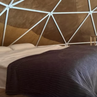 Oda Özellikleri Galerisi