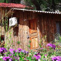 Genel Görünüm Galerisi