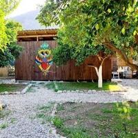 Genel Görünüm Galerisi