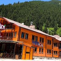 Genel Görünüm Galerisi