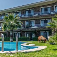 Genel Görünüm Galerisi