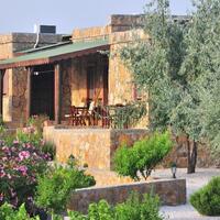 Genel Görünüm Galerisi