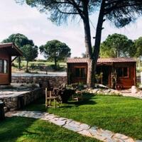 Genel Görünüm Galerisi