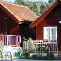 Genel Görünüm Galerisi