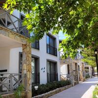 Genel Görünüm Galerisi