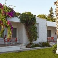 Genel Görünüm Galerisi