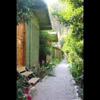 Genel Görünüm Galerisi