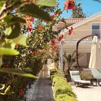 Genel Görünüm Galerisi